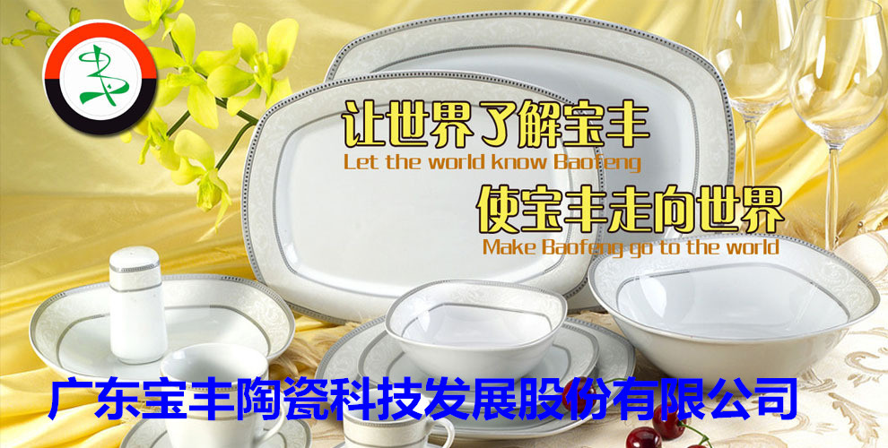 廣東寶豐陶瓷科技發(fā)展股份有限公司成立于2003年，占地總面積5萬(wàn)平方米，建筑面積3萬(wàn)平方米，2004年10月建成投產(chǎn)。現(xiàn)擁有兩條先進(jìn)遂道窯生產(chǎn)線(xiàn),主要生產(chǎn)中高檔日用陶瓷，產(chǎn)品遠(yuǎn)銷(xiāo)歐美，東南亞等國(guó)家。